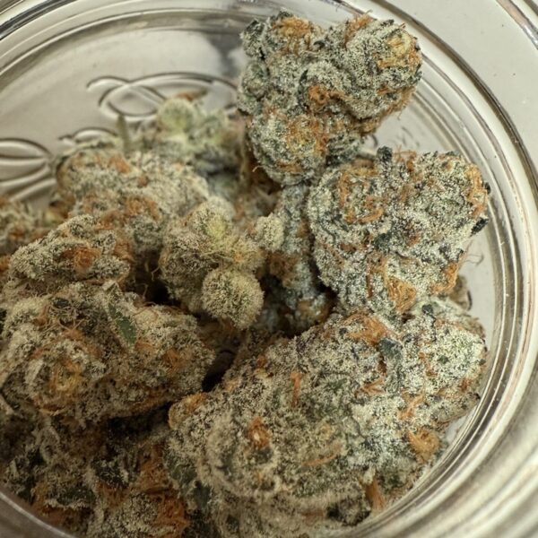 In House Genetics - Pancake Breath (Cannabis Clone)